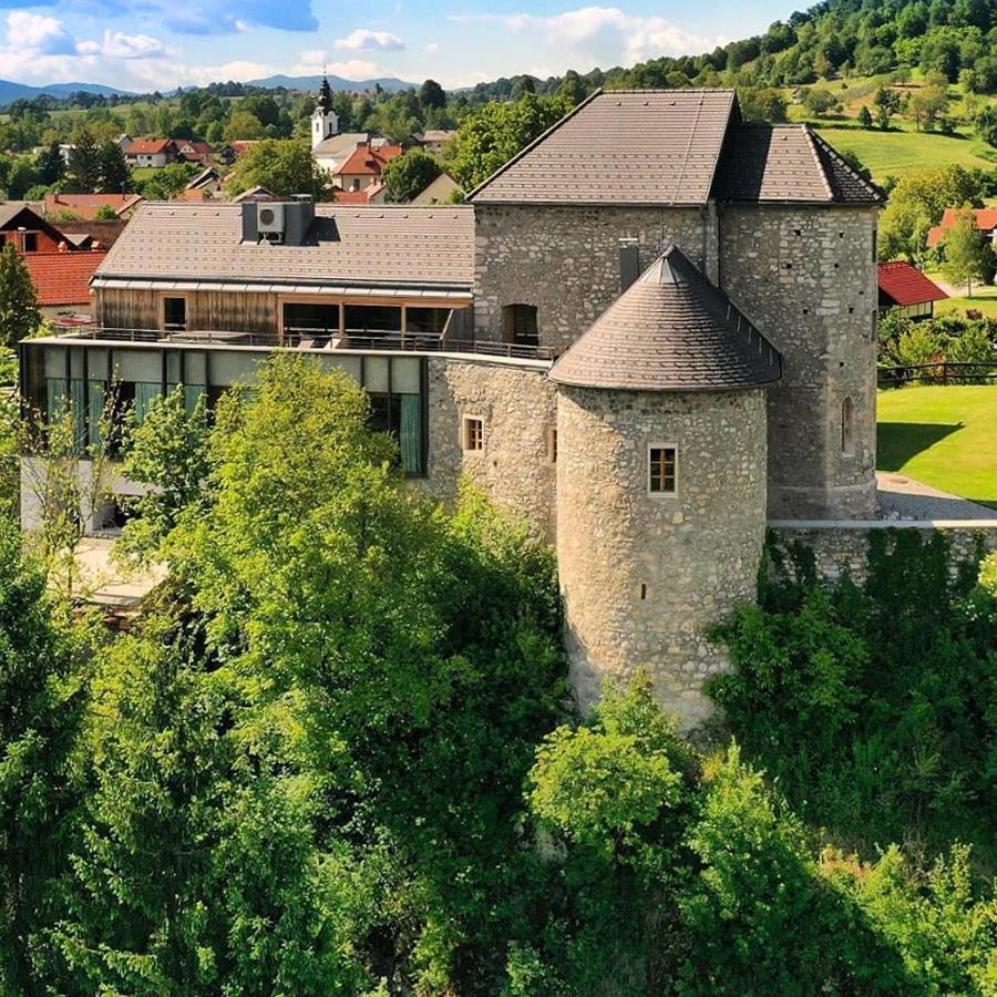 Отель Vinica Castle Экстерьер фото